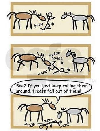equestrianindex's tweet photo. #WednesdayWisdom See, horses are very clever! #lovehorses have a super day everyone! #247equestrian #horsehour #equestrian https://t.co/I6k87T59bk