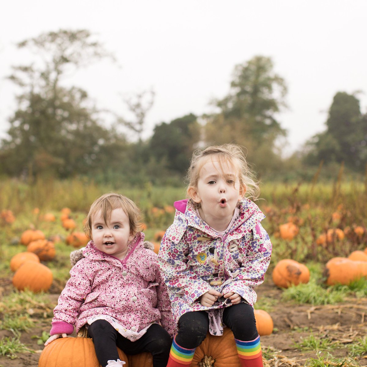 LifeLittleToes's tweet image. Fun  @Garsons_Esher 🎃🎃🎃