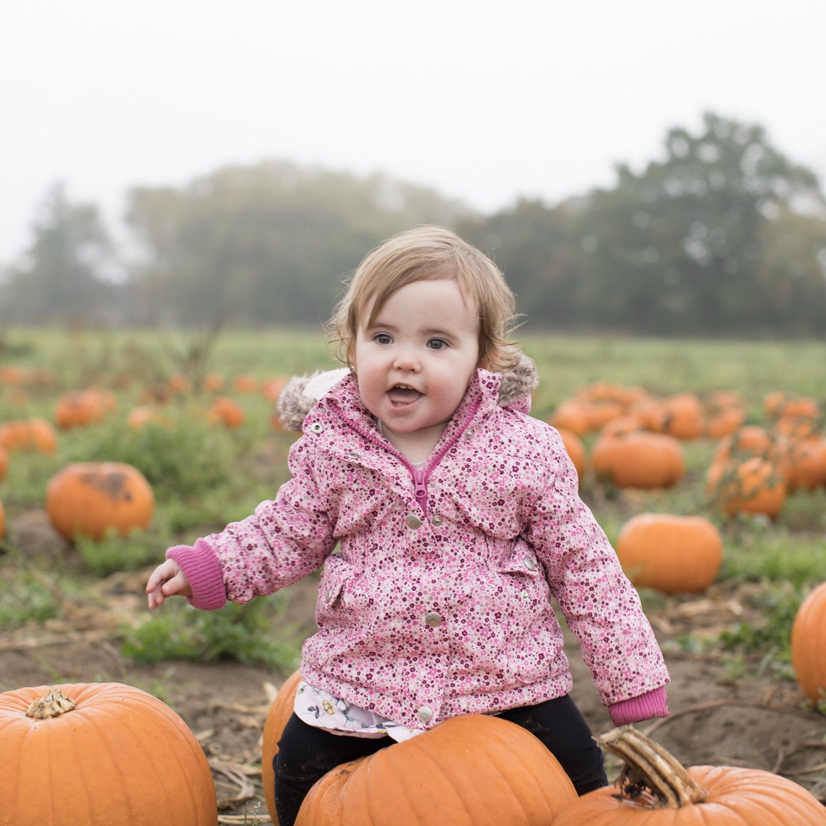 LifeLittleToes's tweet image. Fun  @Garsons_Esher 🎃🎃🎃