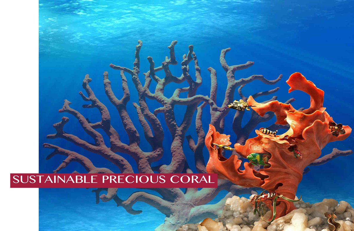 CIBJO releases Coral Commission’s Special Report, calls for campaign  to differentiate between precious and ... tinyurl.com/yaz33yhr
