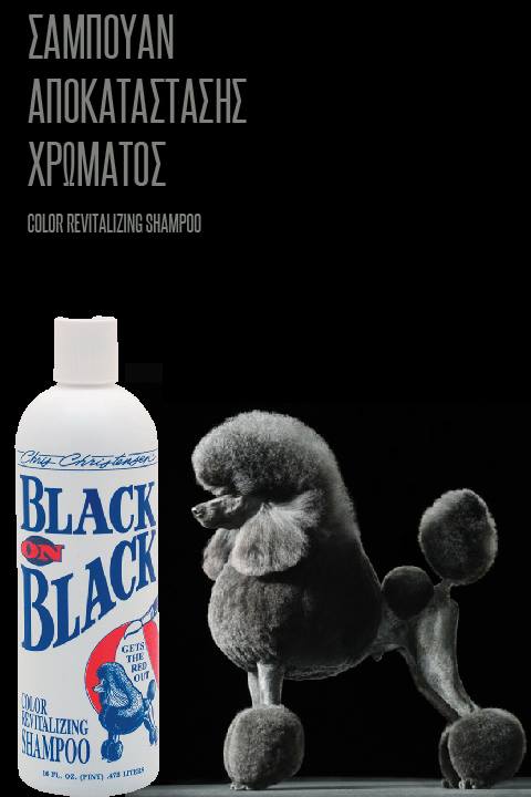 ShowdogGr's tweet photo. #chrischristensen #cc #colorrevitalizing #blackonblack #dogcoat #care #passionforgrooming #showdog #sharingthepassion https://t.co/xbVibeD38b