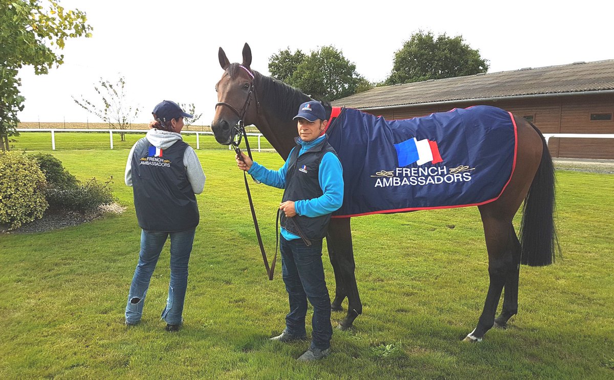 FRBC_Official's tweet photo. #HKIR 🇫🇷 🏇#BestFouad #Garlingari #Karar #ClothofStars #Garlingari #LadyPaname #Talismanic #Tiberian #CoxBazar #TheRightMan #SignsofBlessing https://t.co/3DjcILFHtJ