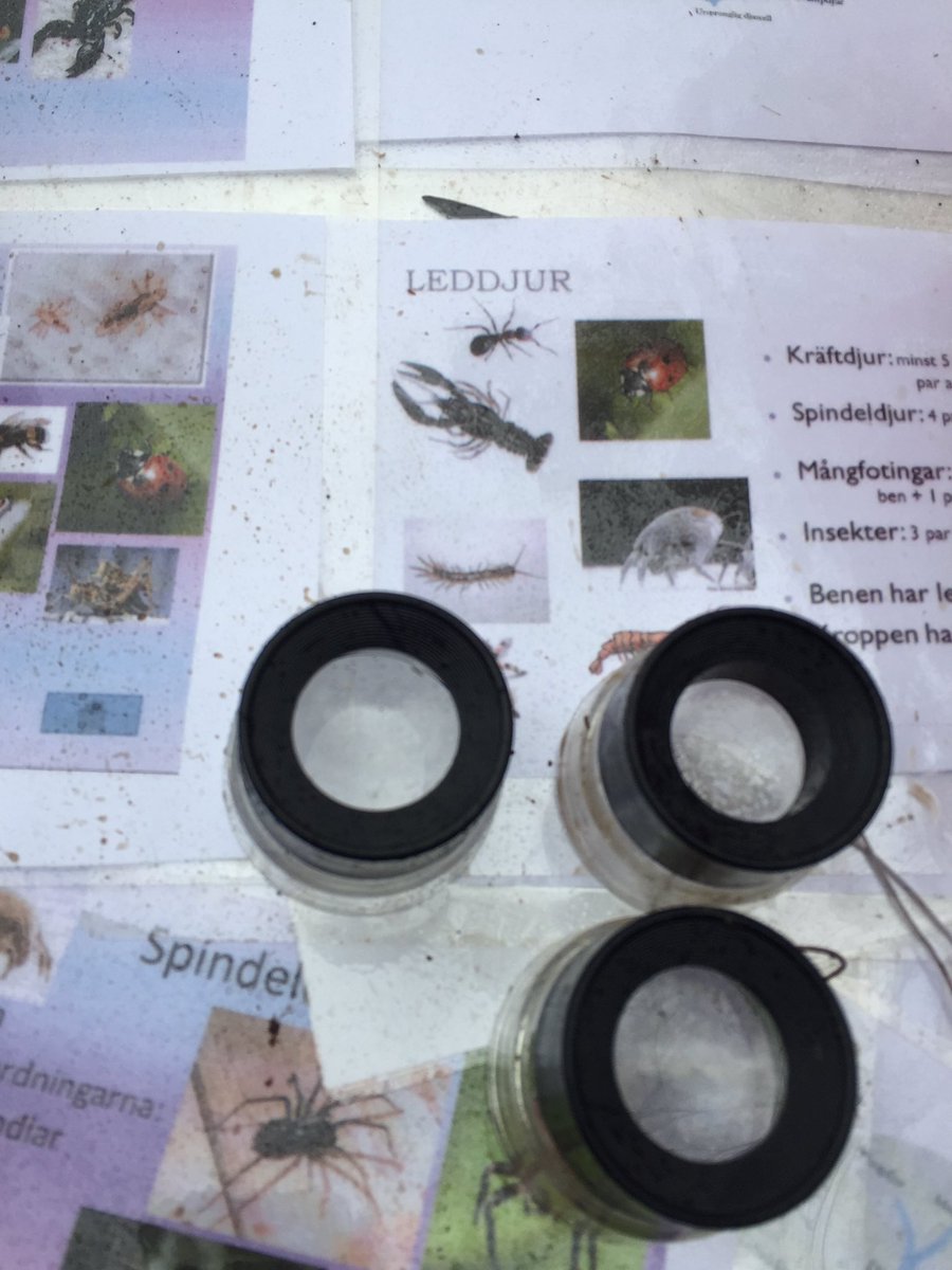 Utedag #lyxigt #friluftsliv <a href="/Tegelhagen/">Tegelhagens skola</a> #tgl4  #solskol