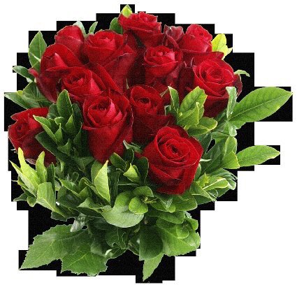 LynnNagel1's tweet photo. @BuildersFan Team,May your Wednesday be #fabulous #BuildersFan 🌹 https://t.co/UFH9pfjuDT