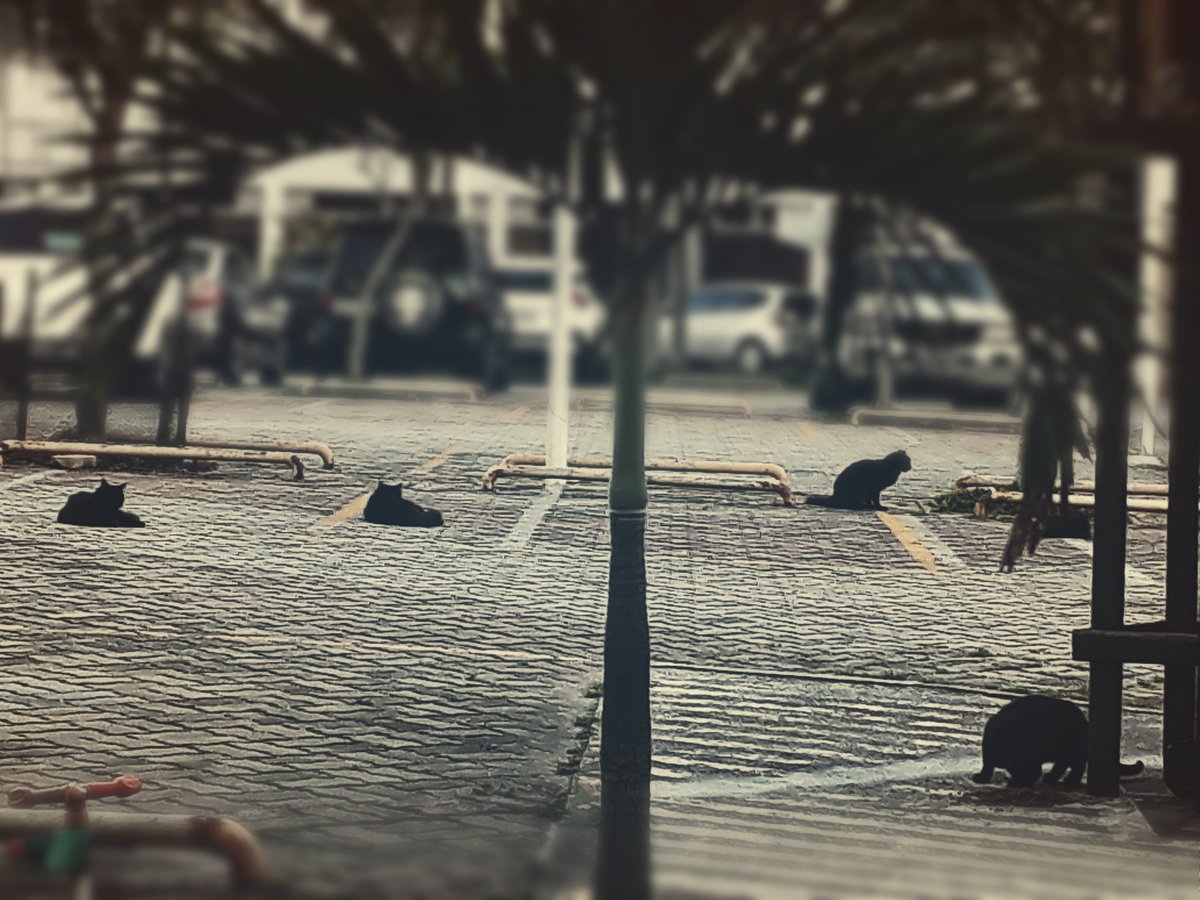 Linkezine's tweet photo. Foto : Place
#igmasters  #fineartphotography #artenoolhar #cool #decorandocomclasse #decorlovers #designdeinteriores #californiaart https://t.co/uAULR5gVbR