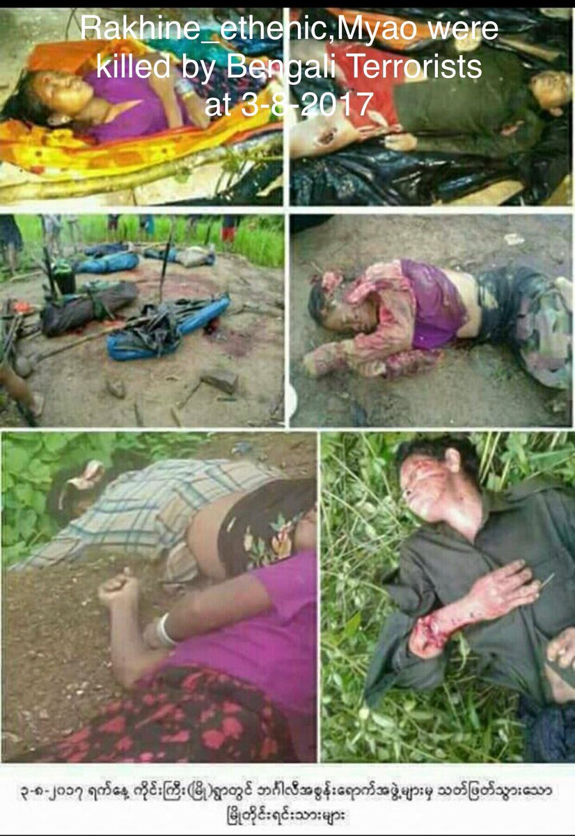 davidyeoo's tweet photo. Compare snapshots from #Rohingya refugees' camp &amp; #Rakhine, Myanmar. https://t.co/OQCd2MJIeE