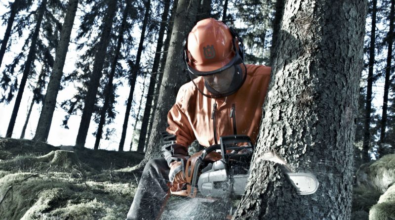 contorionde's tweet photo. Welche #Kettensäge passt zu wem? Der neue Ratgeber in unsere Magazin #HandDrauf: https://t.co/JzMUlN8GKe #digitaleshandwerk https://t.co/MZJ0eiQjw7