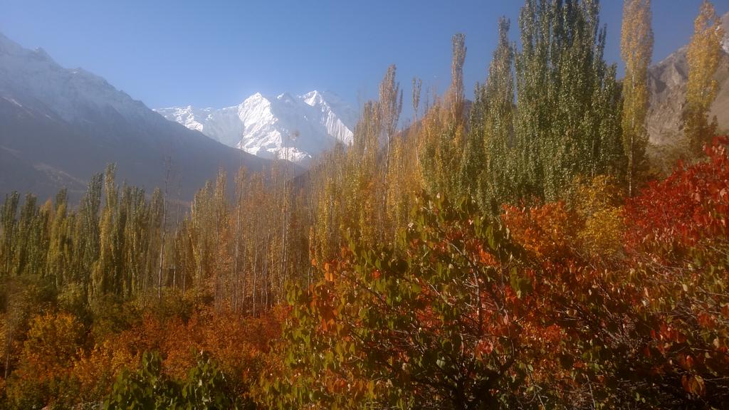 zahoorhunzai's tweet photo. #AutumninHunza https://t.co/M2C8EDp4yd