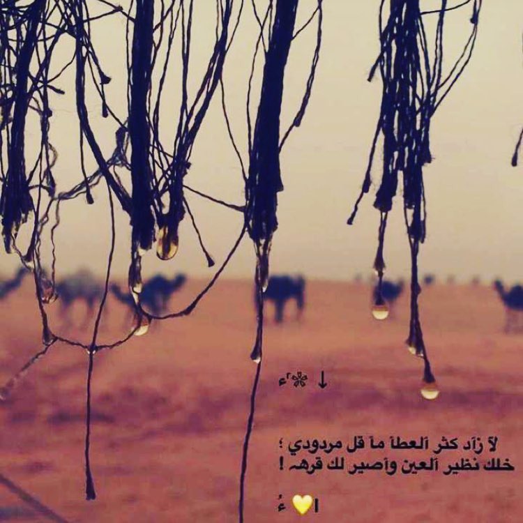 لازاد كثر العطا ماقل مردودي 
خلگ نظر العين واصير لگ قره 
.