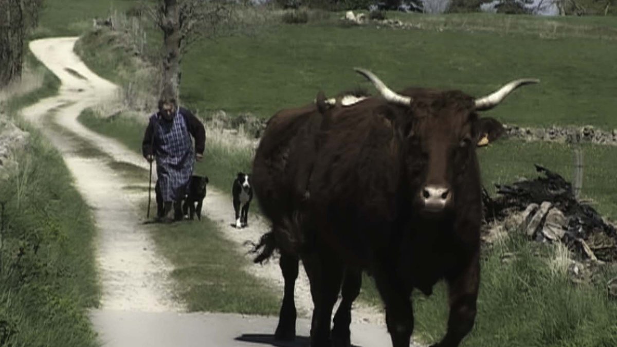 [Critique] Sans adieu. Un film fort, authentique et empathique. ecrannoir.fr/films/filmsc.p… #sansadieu <a href="/newstoryfilms/">NEW STORY</a> @AssociationACID