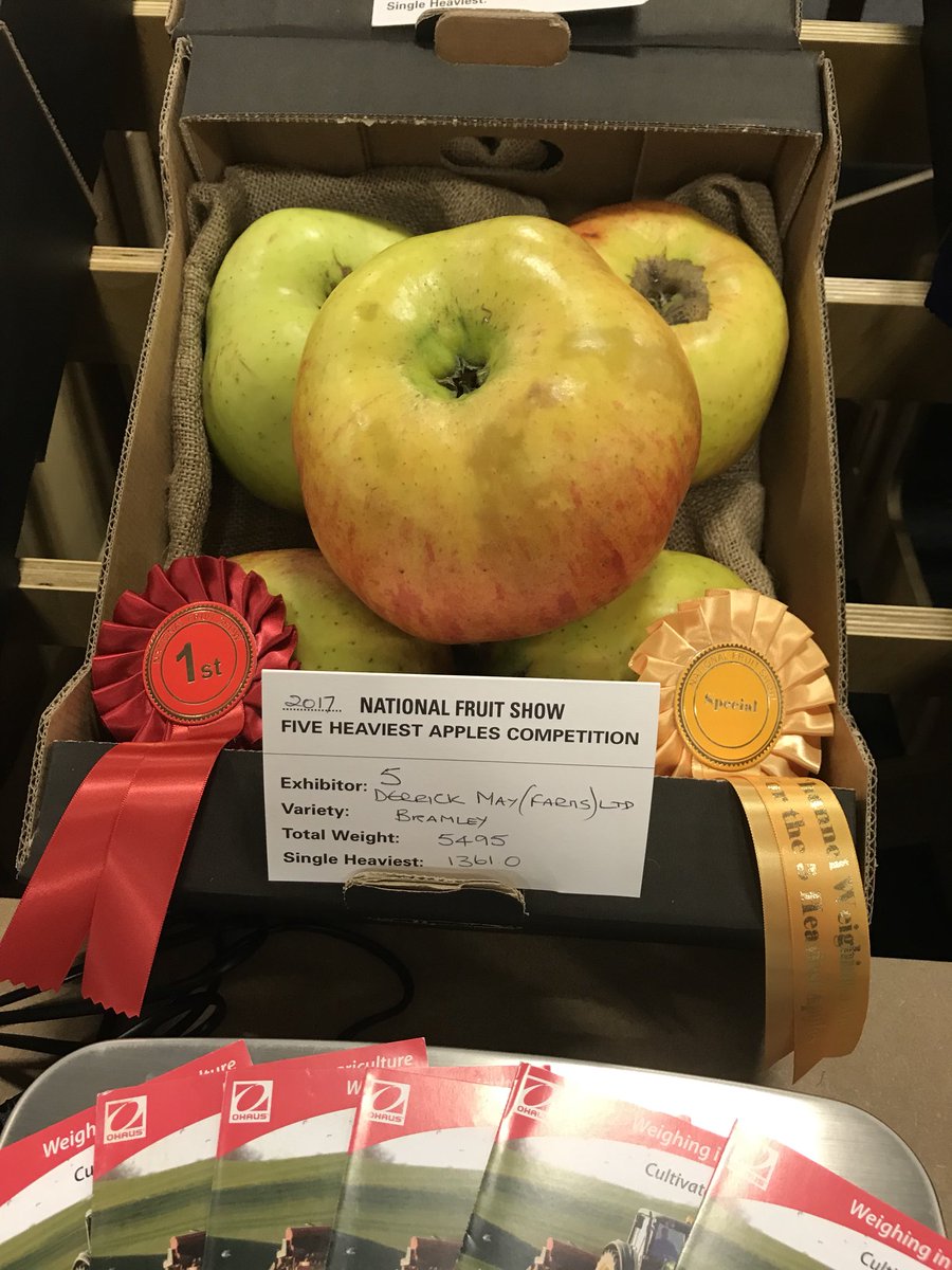 igapst's tweet photo. An interesting display of giant fruit at @Nationalfruit Show today #NFS17 https://t.co/tTCfNYI52p