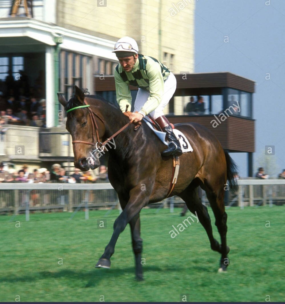 Happy birthday Joe Mercer who rode a total of 2,810 winners in Britain. 83 today. 