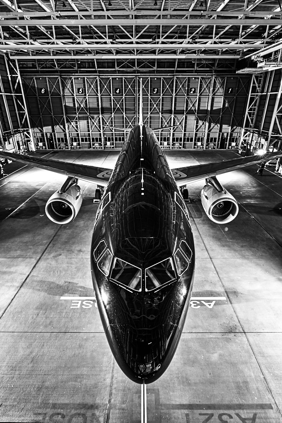 ねこねこ日本史アニメ Youtube公式情報 おしらせ にゃ にゃんと あの航空会社 スターフライヤー さんの黒くてかっこいい飛行機内で ねこねこ日本史が11月から配信開始だにゃ 11月の機内誌でも特集してくれてるにゃ あと 機内で見てる人には