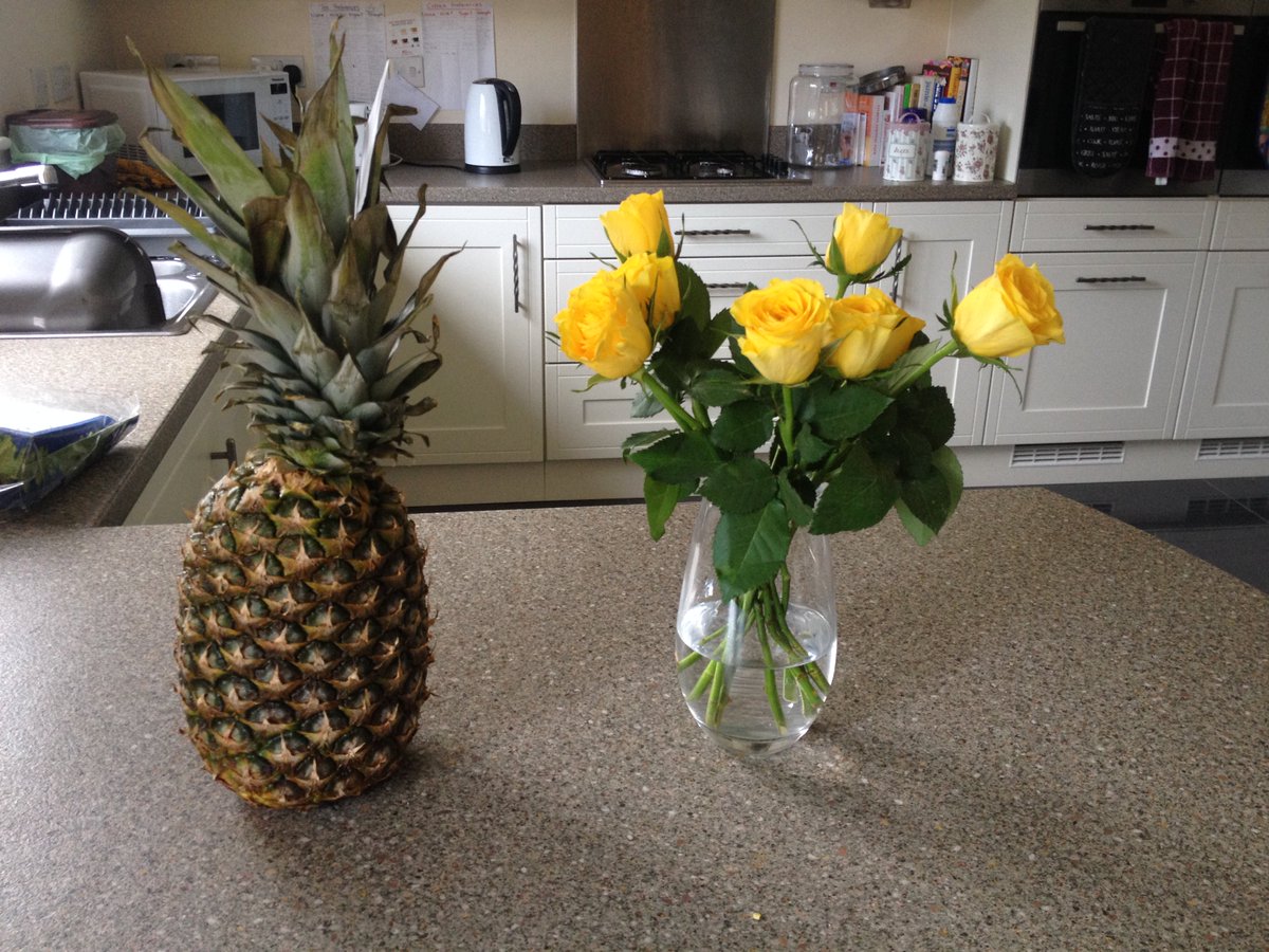 TSD_CU's tweet image. Does YOUR staff worker bring you a bunch of flowers and a pineapple when they come over? @MeggConway  #shescrazy #thatswhyweloveher