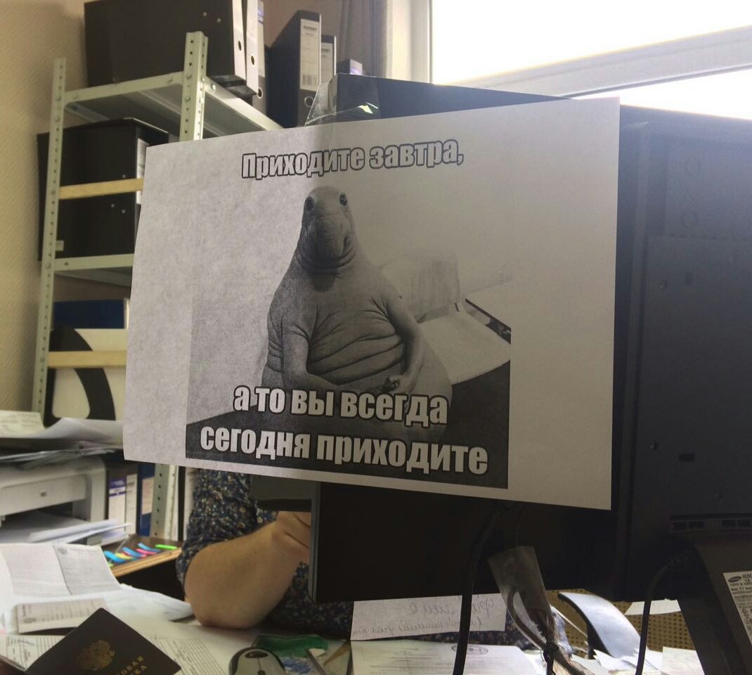 SMMStudioMD's tweet image. Когда в офисе тебя все достали 😂😂😂