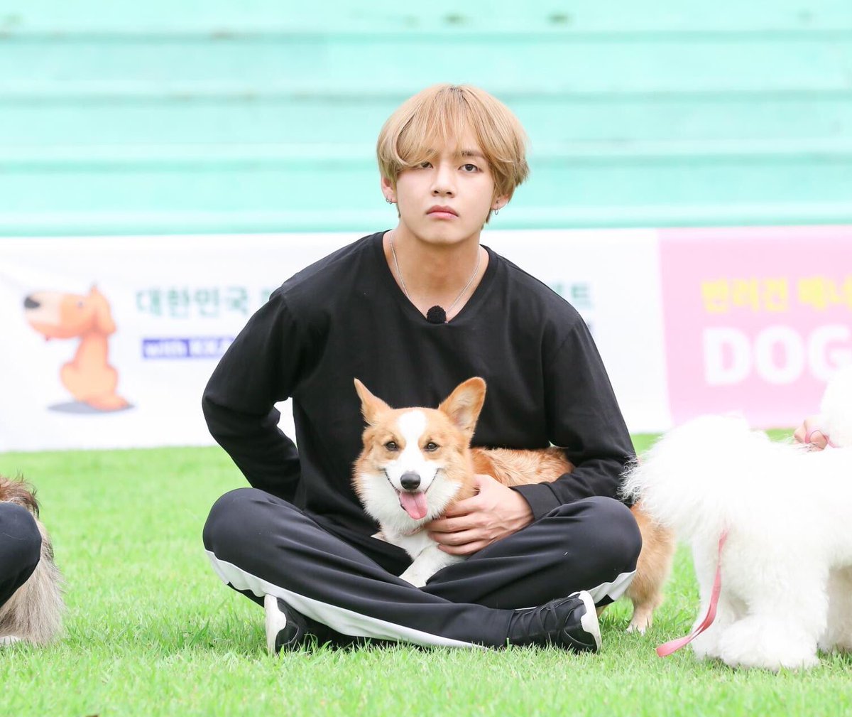 flowerstaegi's tweet photo. just what i needed https://t.co/lmn4QhVTC1