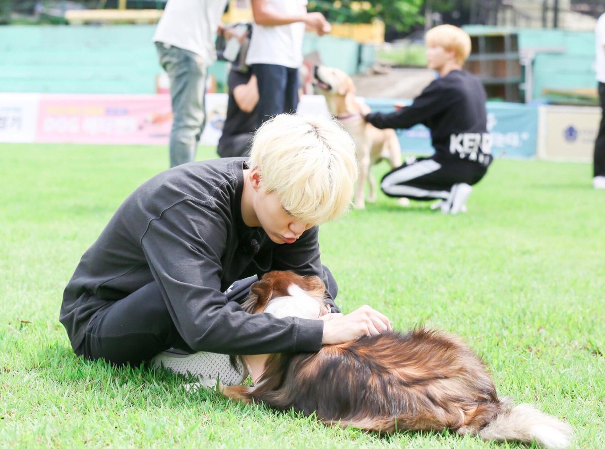 flowerstaegi's tweet photo. just what i needed https://t.co/lmn4QhVTC1