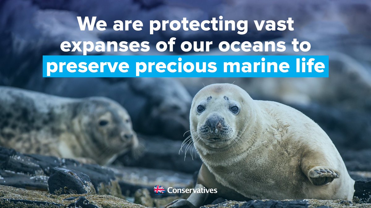 Under the Conservatives, Britain is taking a global lead in marine conservation - helping to protect ocean territory the size of India.