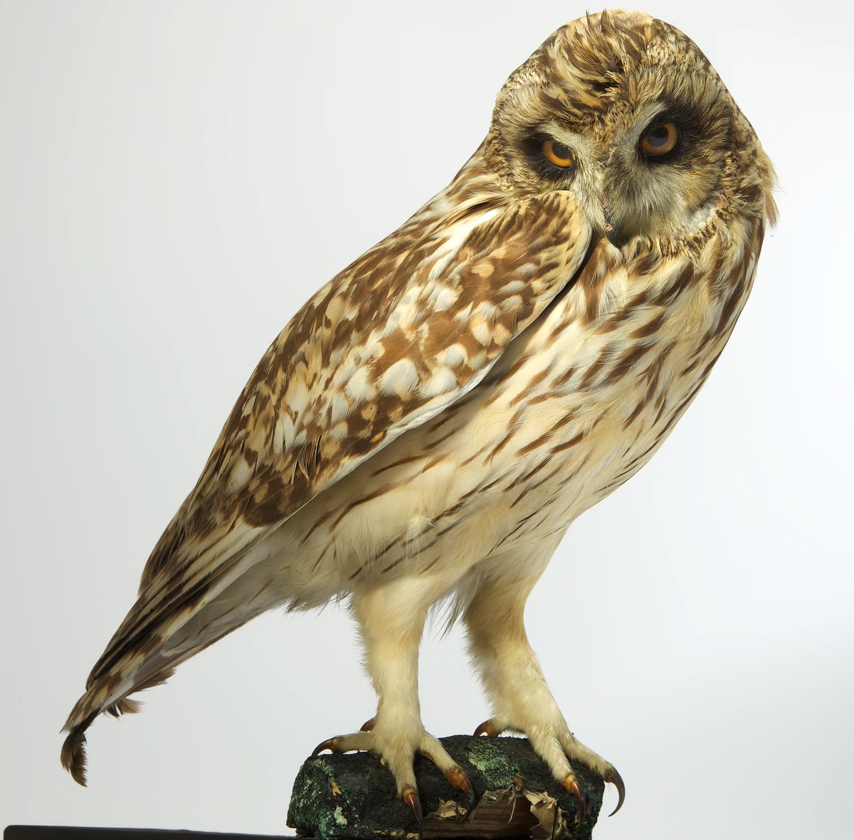 Have you seen our current exhibitions? The Oldham Open, River of Tea and Oldham Stories are all well worth a look!