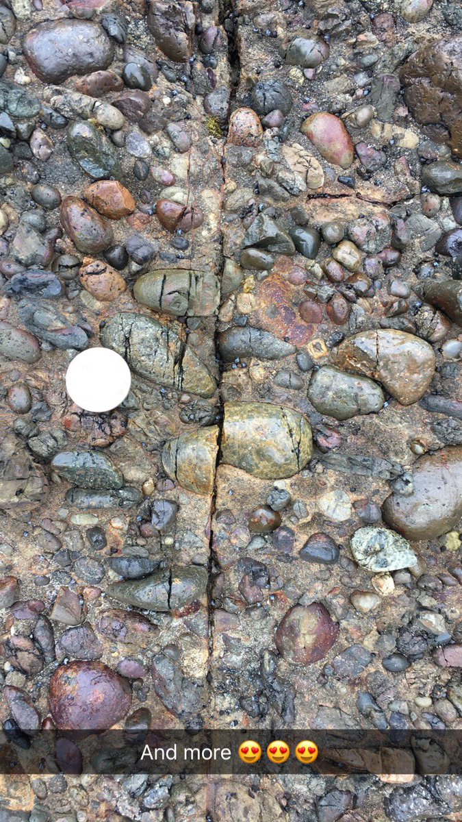 UiB_Rotevatn's tweet image. Faulted &amp;amp; fractured #conglomerate &amp;amp; #sandstone. #Catlins, #NZ #geology #fault #fieldwork #structuralgeology #Jurassic #rocks 😍😍😍