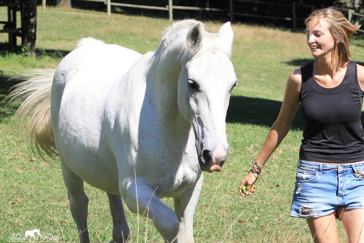 MeinFaible Clickerwoche mit tägl. Inspirationsvideo und 2 eBooks zum gemeinsamen Lernen mit positiver Verstärkung! meinfaible.de/produkt/clicke… ❤