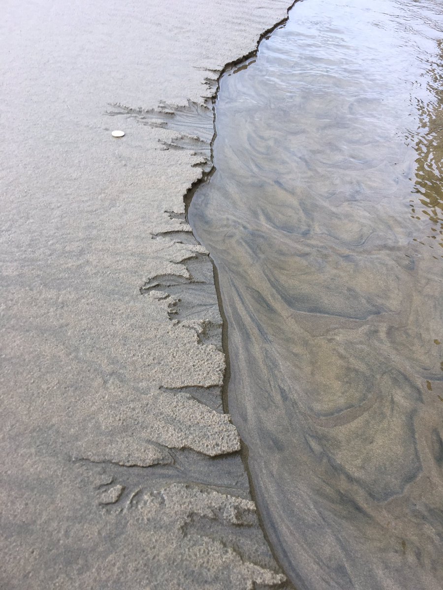 UiB_Rotevatn's tweet image. Miniature #canyons eroding headwardly on bank of small stream. Cannibal Bay #Catlins #NZ  #smallstuff #geology 😍🤓 cc @Grissi2k @seis_matters