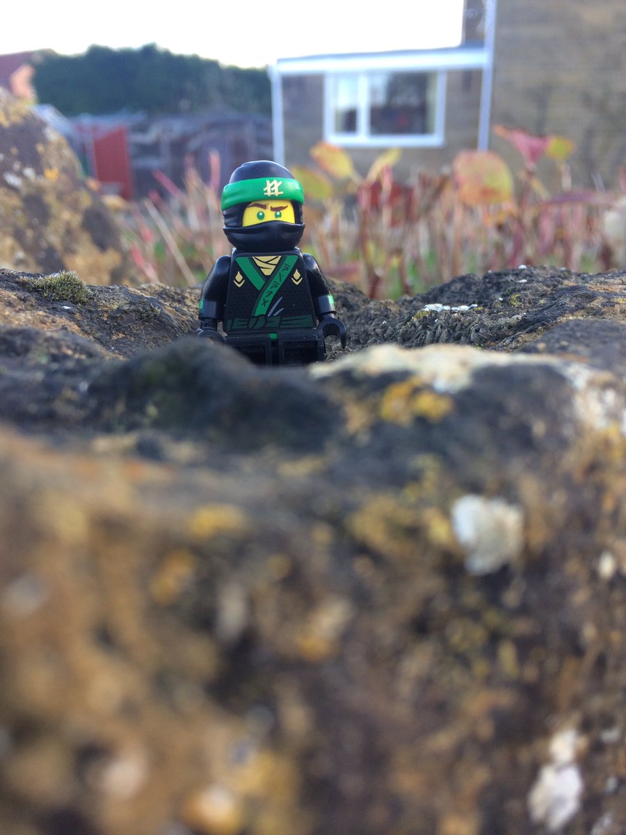 Dixiepicsphotos (@twistngopins) on Twitter photo 