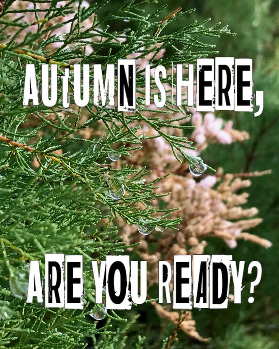 _LUJAGo_'s tweet photo. 🍂 Autumn is here, be warm and safe out there! 🍁 
#LUJAGo #autumnrun #runninggirl #runnerslife #ukrunning #ukrunchat #igrunnners https://t.co/2qAcdDffkY