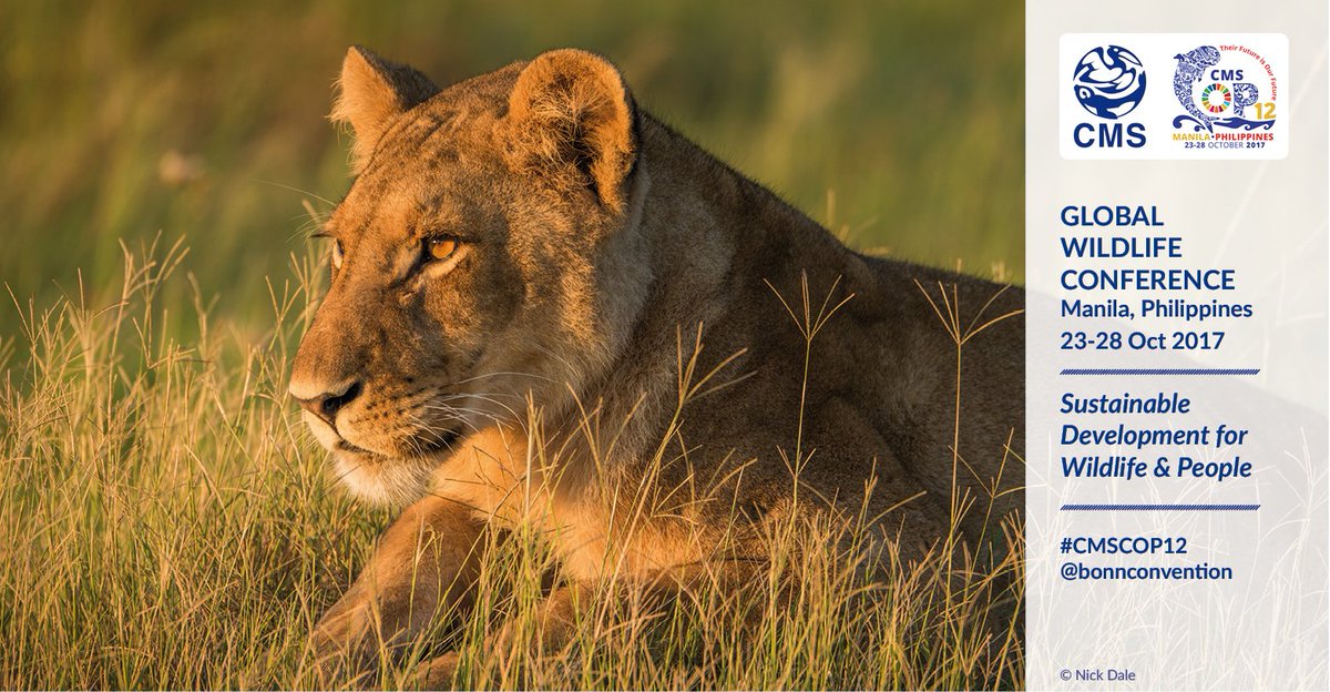 Convention on Migratory Species (CMS) tweet media