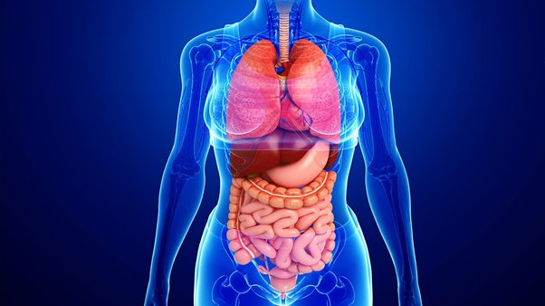 Medical_physiol tweet picture