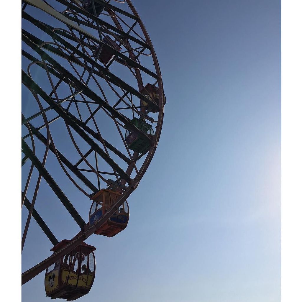 onceuponapark's tweet photo. Mickey's Fun Wheel 🎡 https://t.co/kfKHILa5fH