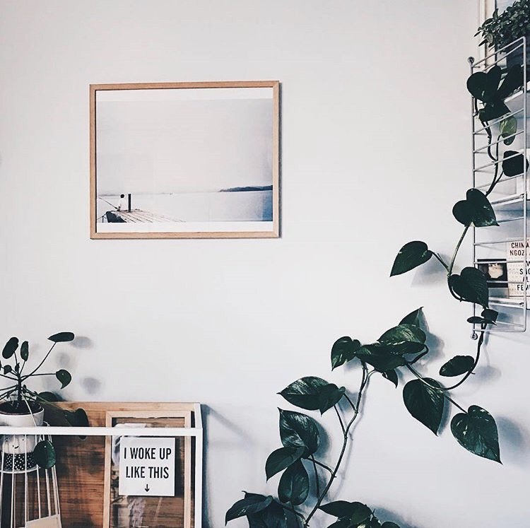 imframeholic's tweet photo. We’re so into natural wood frames right now ��. Just like this one on the wall by _j_u_n_g_l_e_ https://t.co/McjUxHCrbW