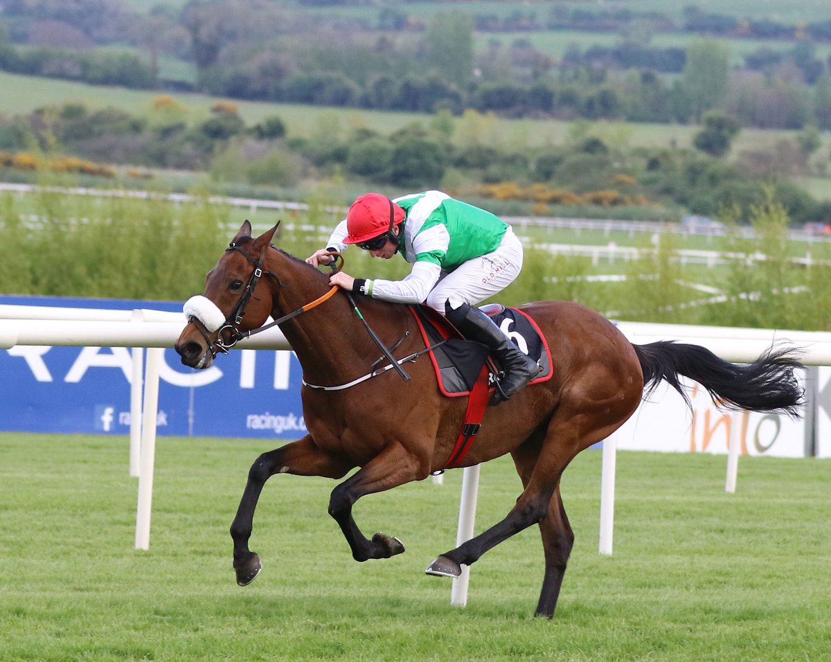 HRIRacing's tweet photo. We are sorry to hear @gelliott_racing talented mare #Fayonagh  suffered a fatal injury this morning. https://t.co/MV3Odu3EV8