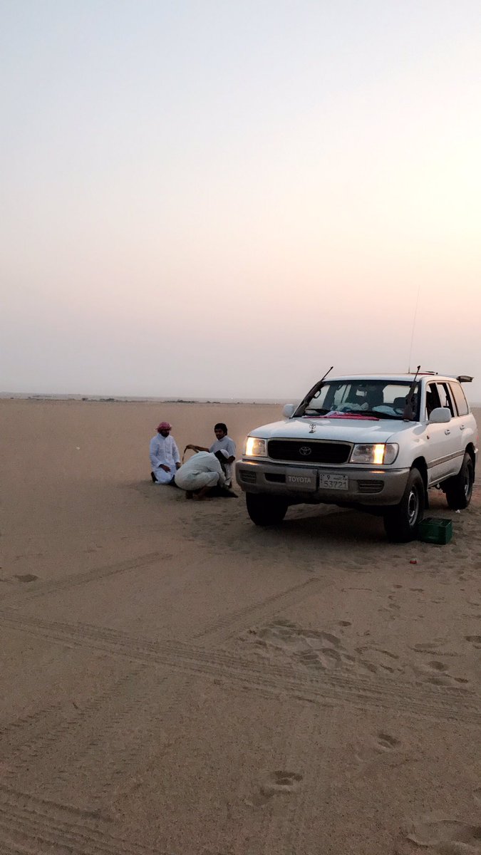 اما تجي خوه على  العز والطيب 
و لا المصالح طيب راسي رفضها 

الذيب يقنب جـوع ما يأكل الذيب 
و لا الضباع ضباع تاكل بعضها
.
#مقناص 
#شعر