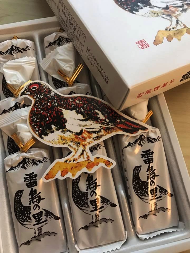 AKADAMA JAPAN tweet media