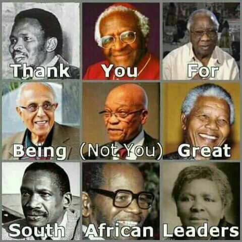 Is this true or false! I think it’s excellent!