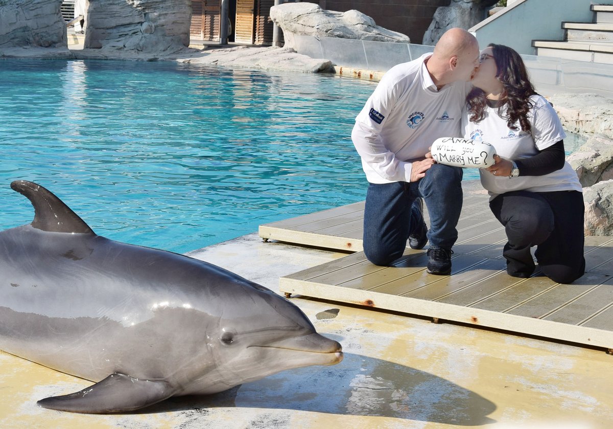 Una dichiarazione d’amore davanti a oltre 1000 persone, nella Laguna di #Oltremare a #Riccione. E lei gli ha detto sì!  AUGURI RAGAZZI ❤️