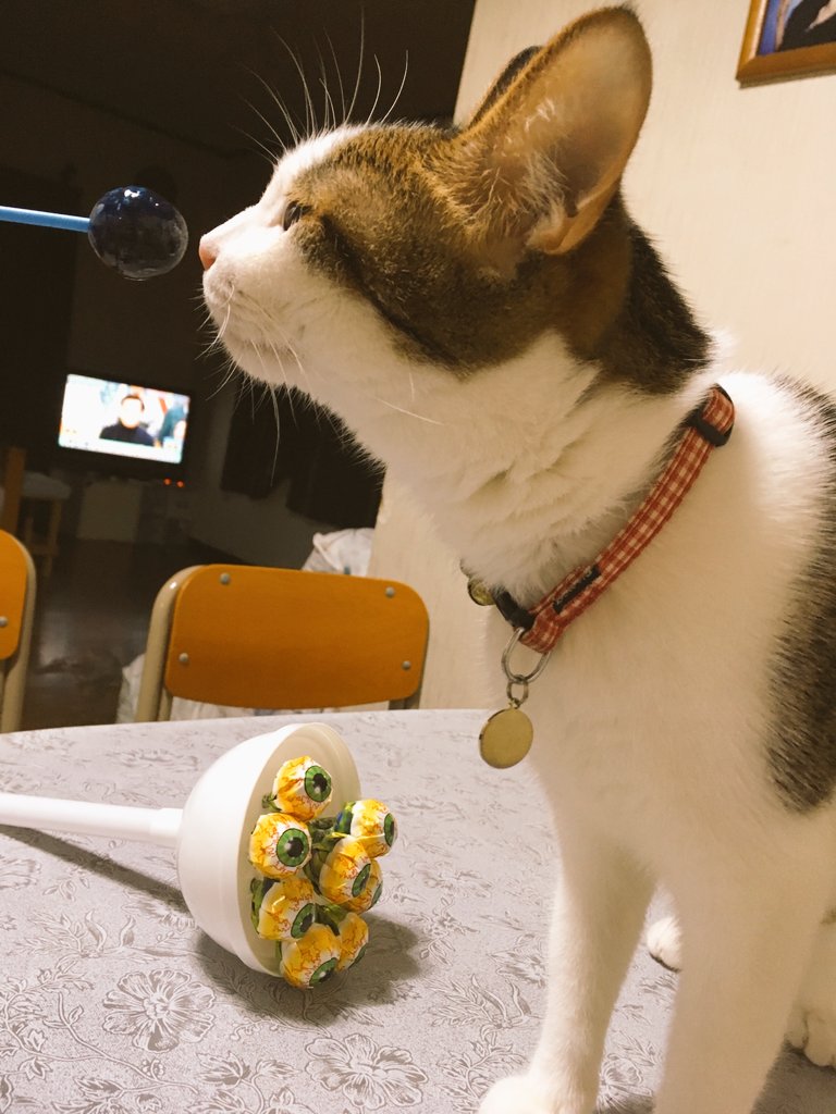 比奈子 0119hs Twitter