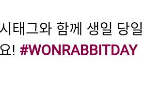 hyungwonope's tweet photo. #wonrabbitday
#sohnbearday
#joohoneyday
#minpuppyday
omg curious for kihyun's hashtag next!! yoohamsterday ㅋㅋ https://t.co/BbFS72zjpL