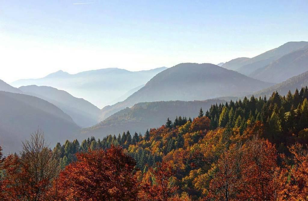 Foto di @antonella_r_11 👏
Ma quanto sono belli i nostri paesaggi autunnali in ogni angolo della provincia? 😍🍂
Buon… ift.tt/2i3vNPE