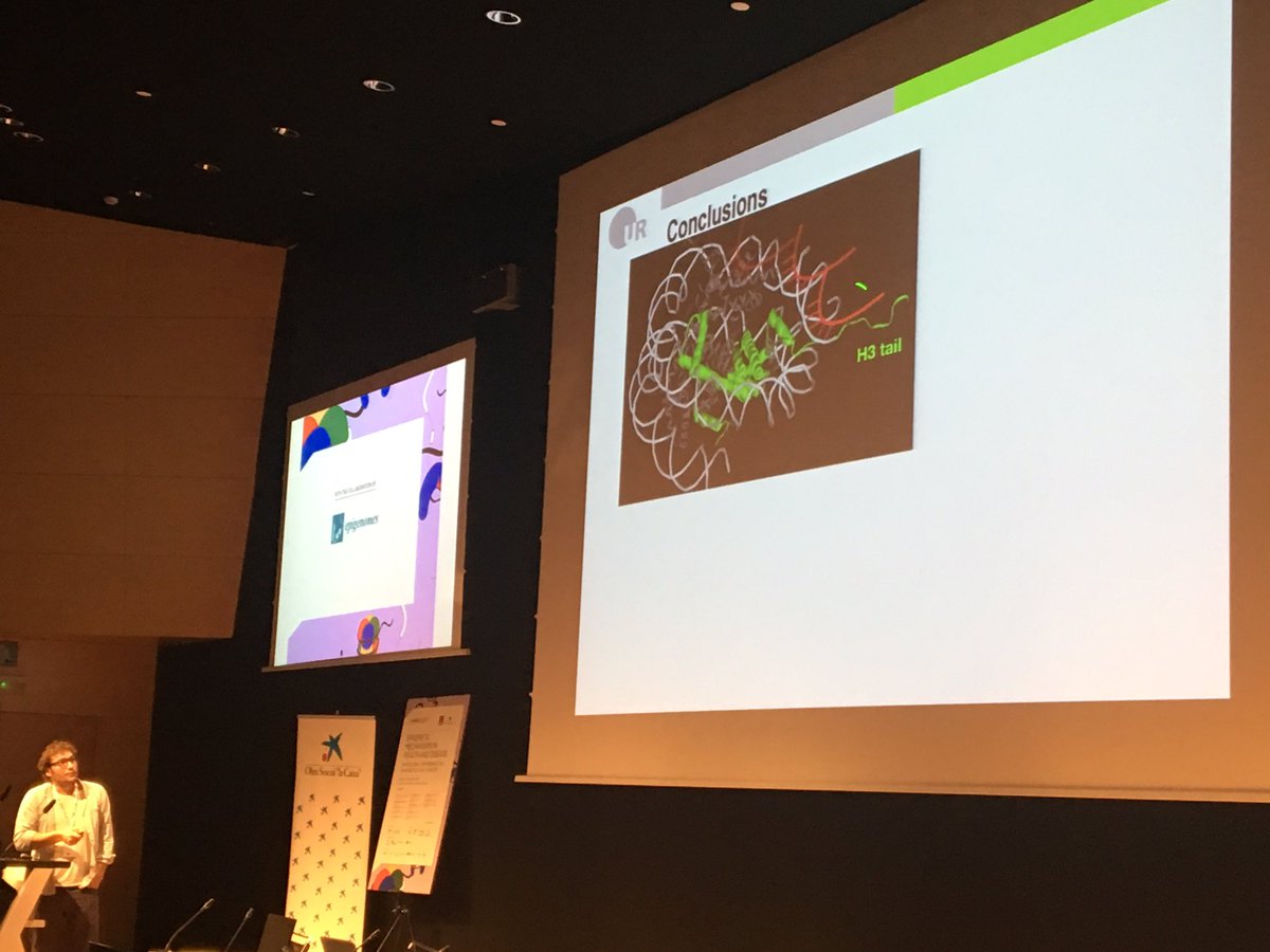Epigenomes's tweet image. Talk on #triplexes #dna #ncrna by Rodrigo Maldonado #BCEC2017
