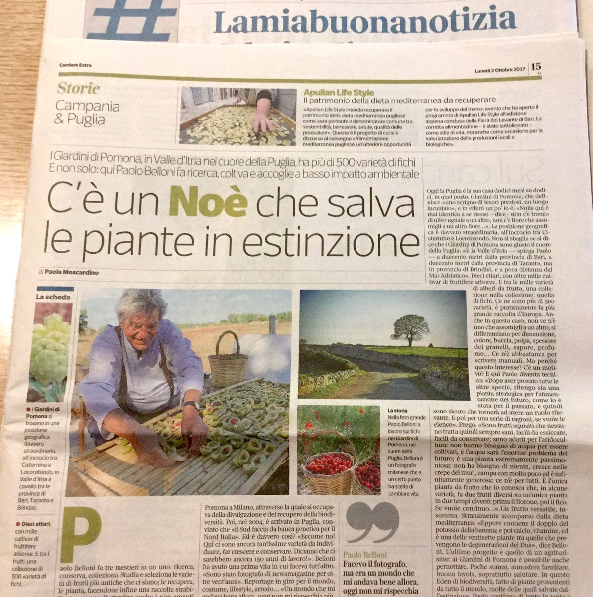 Brufolo Bill tweet media