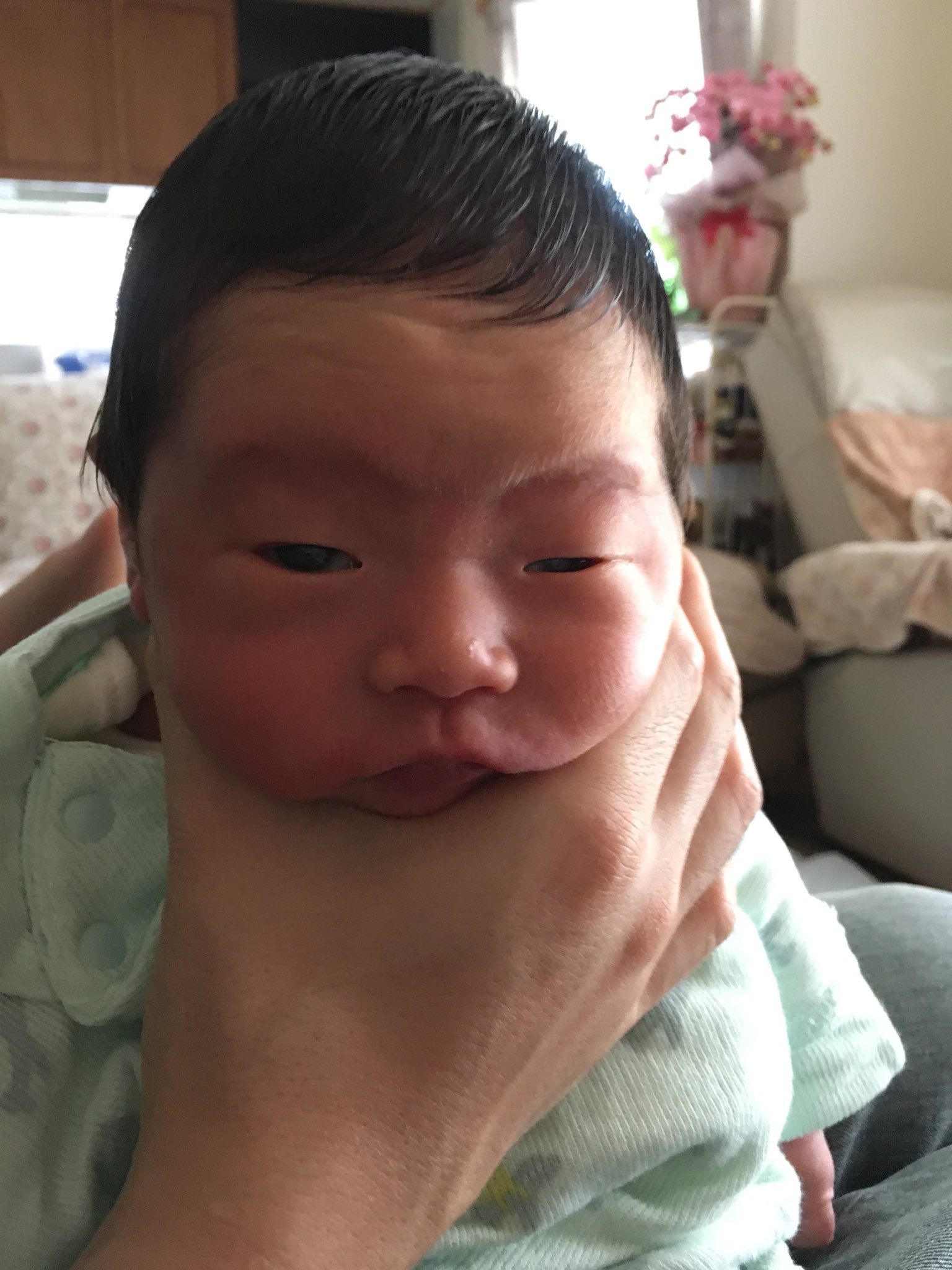 O Xrhsths めぐりむ Sto Twitter 新生児の頃 ミルク後のげっぷを肩に乗せるのではなくて手で顎を持ってやってた時 赤ちゃんの写真ヘタクソ選手権 T Co Ltgxraewar Twitter