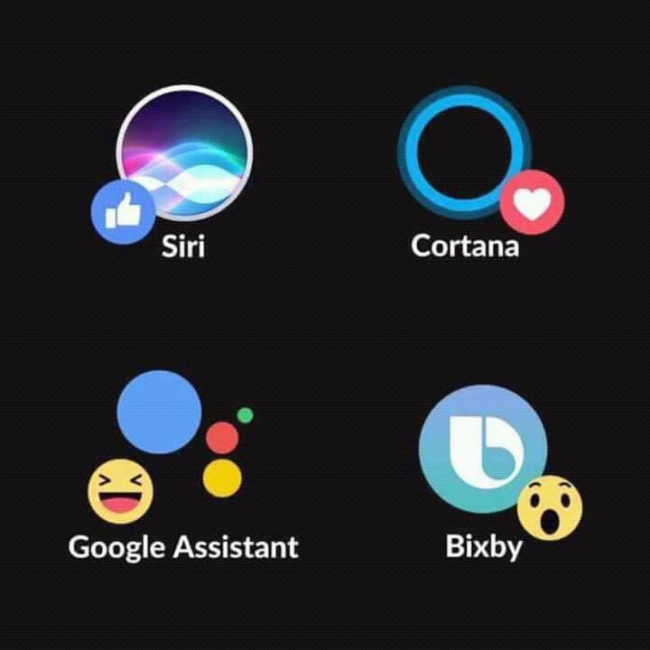 Net4Tech tweet media