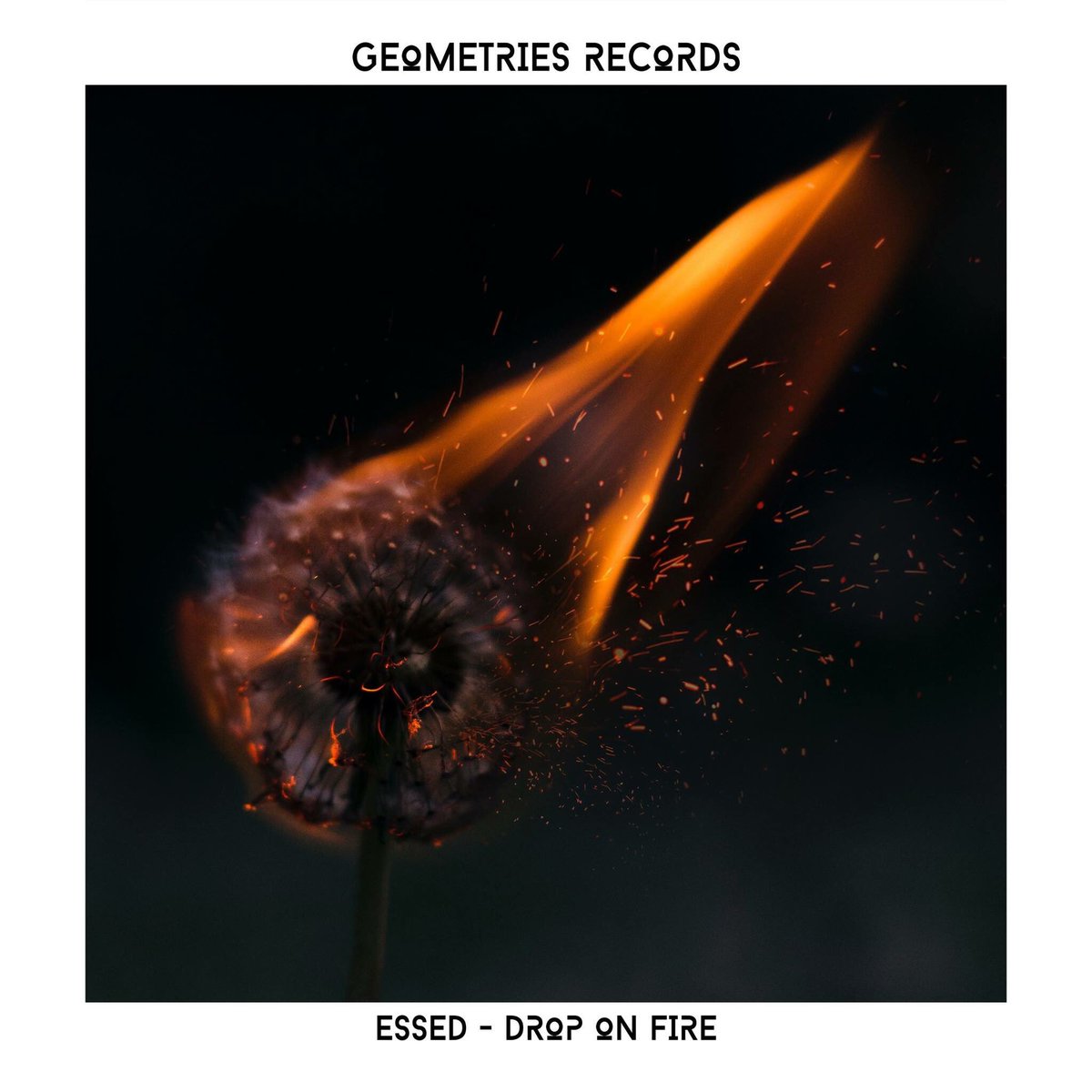 GeOmetriesrec's tweet photo. Here we are!! @Stefanosd11 - Drop on fire - Available November 6!! Preview in a few days! Stay with us! https://t.co/xaDkW6eHiT