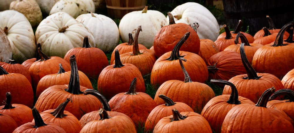 Celebrate #fall with a grande #PSL and our Harvest Spice Collection of custom fabrics >>> bit.ly/2yXGFcA