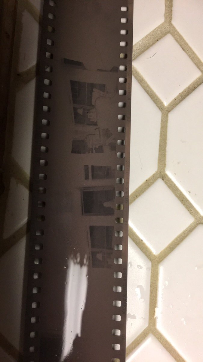 thegoldfish2015's tweet photo. For those of you that would like an update on my dark room adventures, it actually develops something! https://t.co/rxYDAGfr45