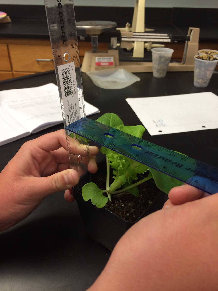 iamsnhshml's tweet photo. Week 3 of @GrowBeyondEarth! Our Students are now recording data from the plants. https://t.co/3tNiSIXZiq