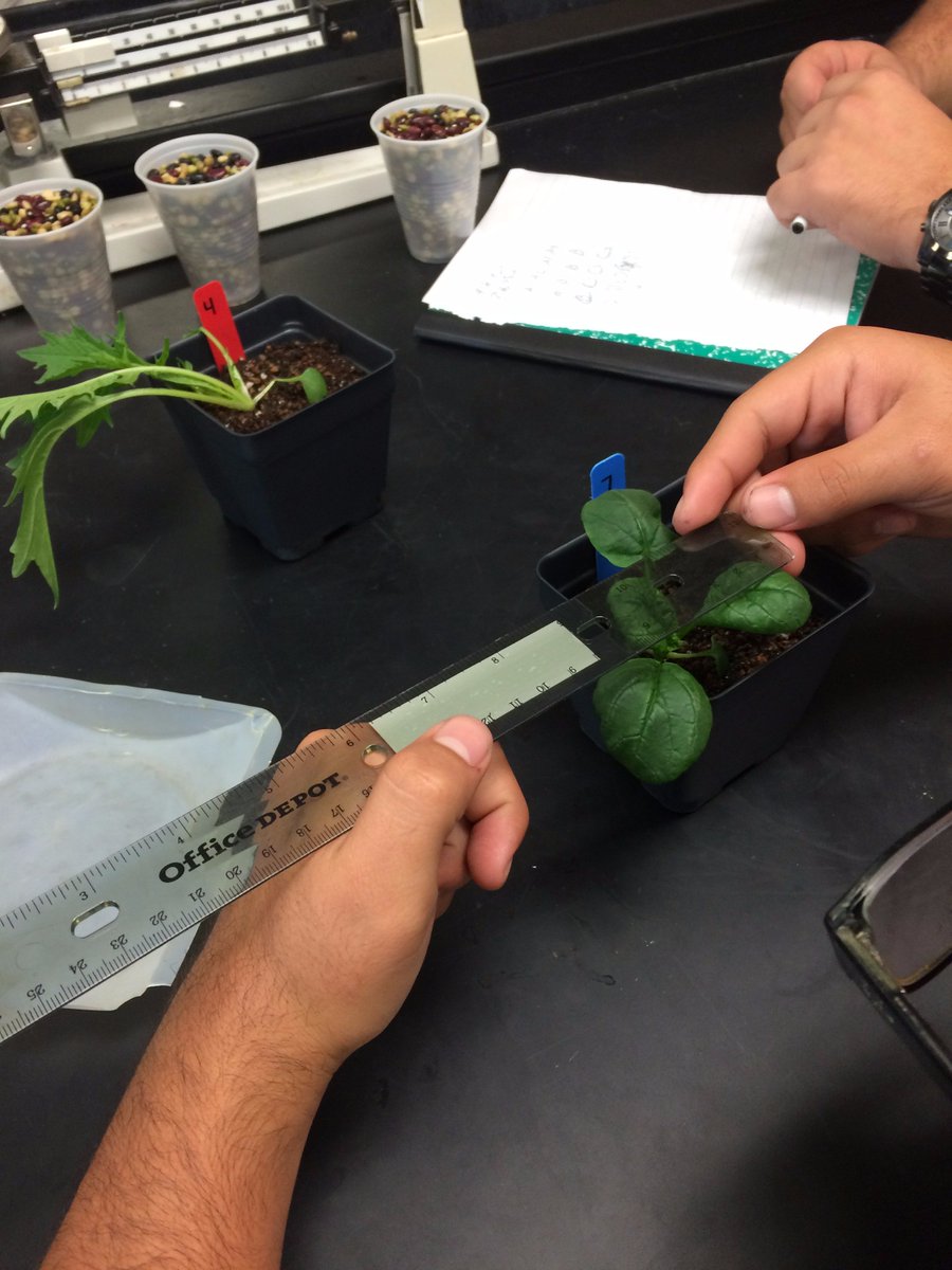 iamsnhshml's tweet photo. Week 3 of @GrowBeyondEarth! Our Students are now recording data from the plants. https://t.co/3tNiSIXZiq