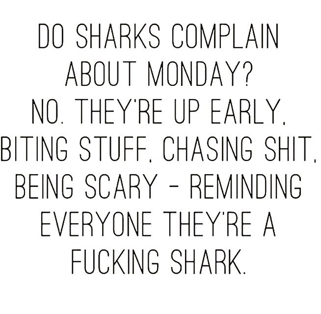 MindsetTweets's tweet image. 😎💯🔑🔥 #DeterminedMindset #Determined #Mindset #Determination #motivation #motivationalquotes #motivationalquoteoftheday #motivationalspeaker